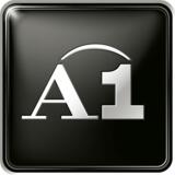A1